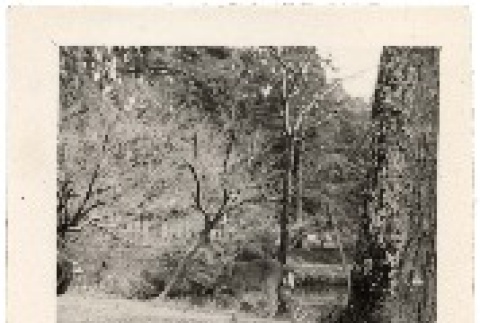 front and back of photograph (ddr-one-2-449-mezzanine-5b1c8527ff)