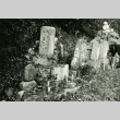 [Two grave markers in Japanese cemetery] (ddr-csujad-29-95)