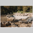Pool with rock feature under construction (ddr-densho-377-2390)