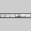 Negative film strip for Farewell to Manzanar scene stills (ddr-densho-317-111)
