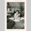 Girl sitting outside barracks with teddy bear (ddr-densho-430-177)