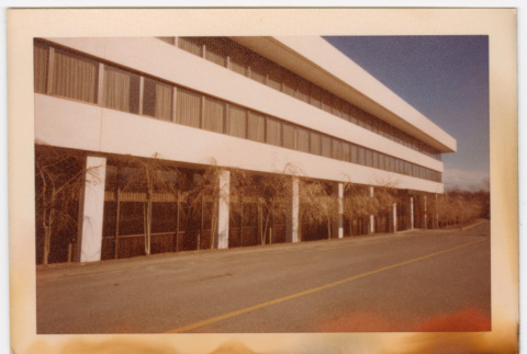 Trees lining building (ddr-densho-377-2182)