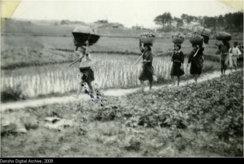 Okinawans returning from fields (ddr-densho-179-127)