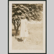 girl by tree (ddr-densho-378-292)