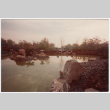 Pond (ddr-densho-377-2301)