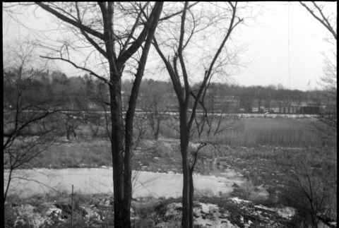 Field and trees with building in background (ddr-densho-377-1523)