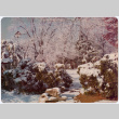 Garden in the snow (ddr-densho-534-44)