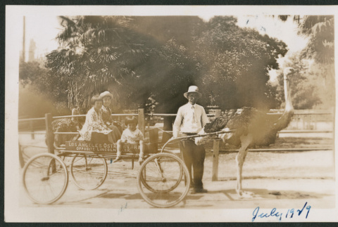 Ostrich wagon (ddr-densho-378-321)
