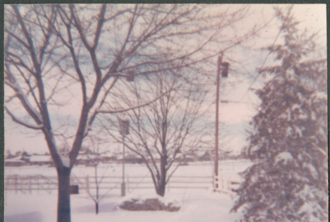 Yard in snow, color (ddr-densho-523-321)