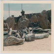 The Coney Island Aquarium penguin pen (ddr-densho-377-270)