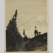 Hiking on Mt. Rainier (ddr-densho-124-15)
