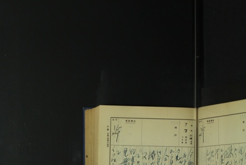 Page 213 (ddr-densho-255-5-master-56ce7fc585)
