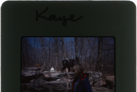 A woman walking with her dog in the garden at the Kaye project (ddr-densho-377-435)