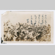 Susumu Miyoshi (ddr-densho-480-93)