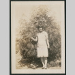 Girl in front of bamboo (ddr-densho-378-273)