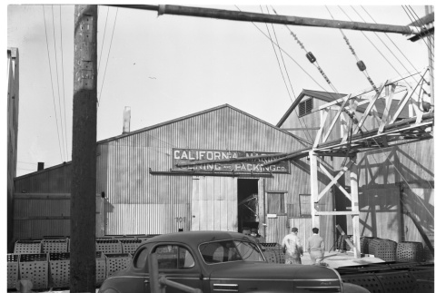 California Marine Curing and Packing Company (ddr-csujad-43-23)