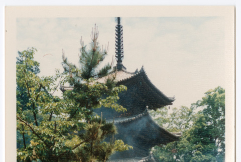 Mitsuye Yabe and Friends at Ishiteji Temple (ddr-ohs-1-204)