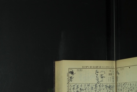 Page 193 (ddr-densho-255-9-master-e2c823e098)