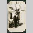 Man in front of palm tree (ddr-densho-359-1060)