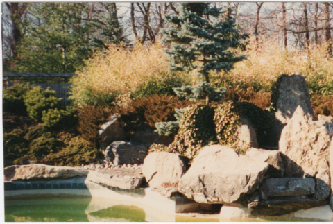 Landscaping around a pool (ddr-densho-377-145)