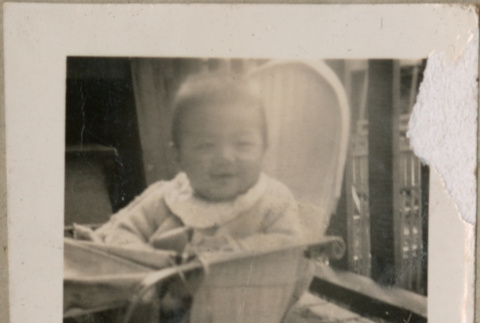 Set of four photos of baby on paper with title (ddr-densho-523-93)