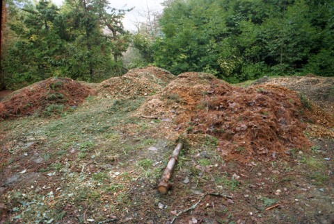 Storm damage and cleanup, mulch piles (ddr-densho-354-840)