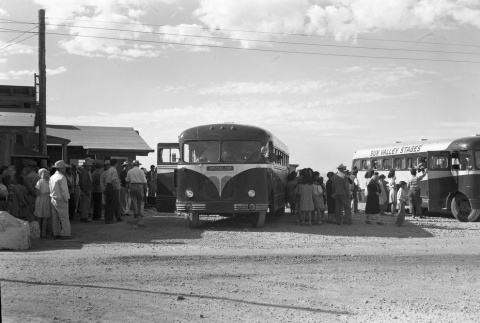 Buses preparing to depart Minidoka (ddr-fom-1-708)