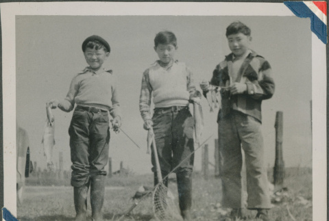 Three boys with their catch of fish (ddr-densho-201-952)