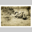 Soldier relaxing in a field (ddr-densho-22-229)