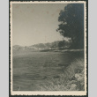 Richardson Bay (ddr-densho-378-1047)