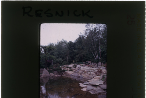 Pond at the Resnick project (ddr-densho-377-1152)