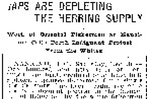 Japs are Depleting the Herring Supply. Work of Oriental Fishermen at Nanaimo Calls Forth Indignant Protest From the Whites. (December 30, 1905) (ddr-densho-56-58)