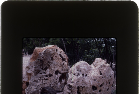Landscaping rocks (ddr-densho-377-631)