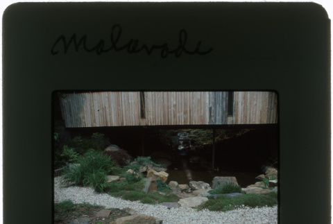 Pond and garden at the Malavode project (ddr-densho-377-478)