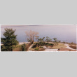 Straus garden project (ddr-densho-377-3028)