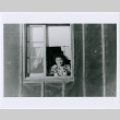 Woman at Heart Mountain, Wyoming concentration camp barracks window (ddr-densho-122-723)