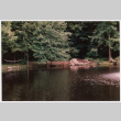 Pond (ddr-densho-377-2468)