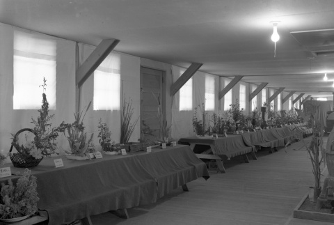 Ikebana exhibit in camp (ddr-fom-1-667)