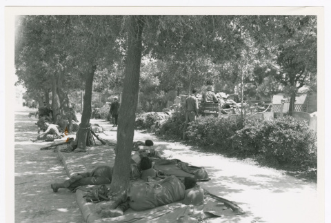 Servicepeople at rest under trees (ddr-densho-1007-172)