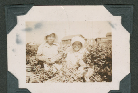 Two women in field (ddr-densho-550-294)