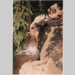 Pond and waterfall at the Teich project (ddr-densho-377-251)