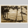 Mt. Fuji (ddr-densho-426-1770)