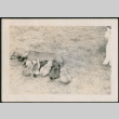 Dog and puppies, and one kitten (ddr-densho-316-424)