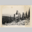 Ruth standing at viewpoint (ddr-densho-409-63)