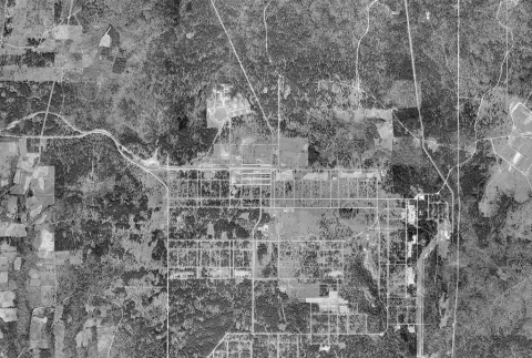 Aerial view of Camp Livingston (ddr-densho-474-120)
