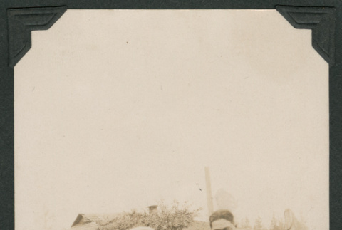 Photo of three men in a strawberry field (ddr-densho-483-197)