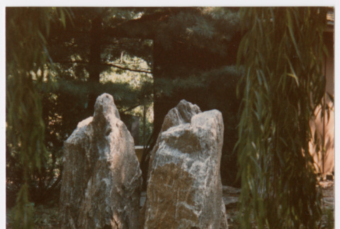 Rock feature in pond (ddr-densho-377-1955)