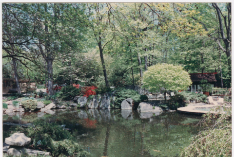 Pond near houses (ddr-densho-377-1974)