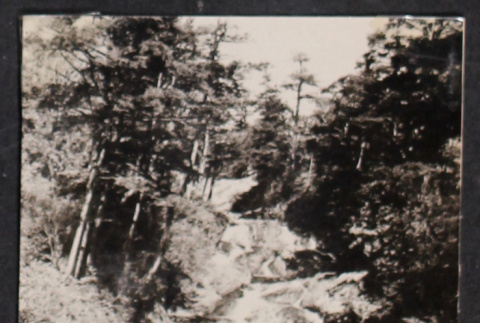 Waterfall with trees (ddr-densho-468-420)