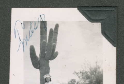 Photograph (ddr-densho-550-236-mezzanine-22d4dde96f)